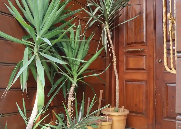 Апартаменты Blue Eye *